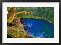 Oregon Blue Or Tamolitch Pool On Mckenzie River Fine Art Print