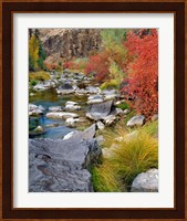 Fall Colors Along The John Day River Fine Art Print