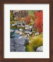 Fall Colors Along The John Day River Fine Art Print