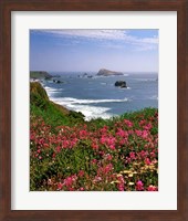 Ocean Landscape Of Goat Rock And Sweet Peas, Oregon Fine Art Print