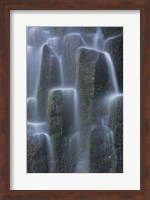 Uwaterfalls Over Basalt Columns, Oregon Fine Art Print
