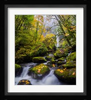 Mccord Creek In Autumn, Oregon Fine Art Print