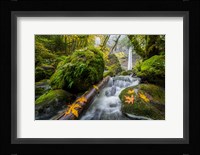 Autumn At Elowah Falls, Oregon Fine Art Print