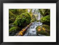 Autumn At Elowah Falls, Oregon Fine Art Print