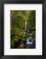 Mossy Grotto Falls, Oregon Fine Art Print