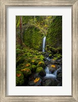 Mossy Grotto Falls, Oregon Fine Art Print