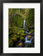 Mossy Grotto Falls, Oregon Fine Art Print