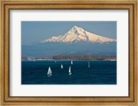 Sailboats On The Columbia River, Oregon Fine Art Print