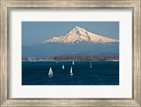 Sailboats On The Columbia River, Oregon Fine Art Print