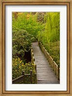 Bridge At Crystal Springs Rhododendron Garden, Portland, Oregon Fine Art Print