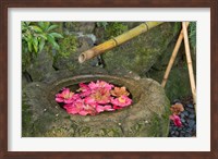 Water Basin Flowers, Portland Japanese Garden, Oregon Fine Art Print