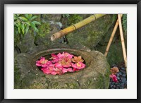 Water Basin Flowers, Portland Japanese Garden, Oregon Fine Art Print