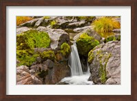 Autumn At Little Falls, Umpqua National Forest, Oregon Fine Art Print