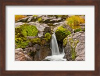 Autumn At Little Falls, Umpqua National Forest, Oregon Fine Art Print