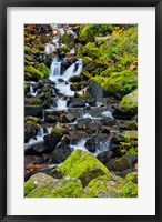 Starvation Creek Falls In Autumn, Columbia Gorge Oregon Fine Art Print