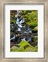 Starvation Creek Falls In Autumn, Columbia Gorge Oregon Fine Art Print
