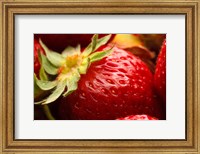 Close-Up Of Fresh Strawberry Fine Art Print