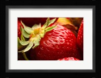 Close-Up Of Fresh Strawberry Fine Art Print