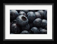Close-Up Of Dark Blueberries Fine Art Print