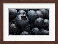 Close-Up Of Dark Blueberries Fine Art Print