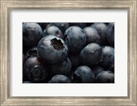 Close-Up Of Dark Blueberries Fine Art Print