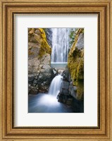 Susan Creek Falls, Umpqua National Forest, Oregon Fine Art Print