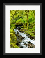 Wahkeena Falls, Oregon Fine Art Print