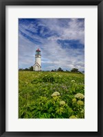 Cape Blanco Lighthouse, Oregon Fine Art Print