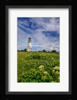 Cape Blanco Lighthouse, Oregon Fine Art Print