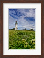 Cape Blanco Lighthouse, Oregon Fine Art Print