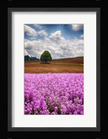 Willamette Valley Of Oregon Fine Art Print