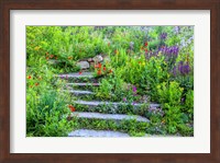 Summer Flowers On Stairs In Pennsylvania Fine Art Print