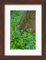 Spring Flowers Blossoming Around A Tree Trunk Fine Art Print