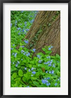 Spring Flowers Blossoming Around A Tree Trunk Fine Art Print