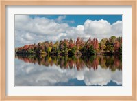 Autumn Lake Reflection Of Ricketts Glen State Park, Pennsylvania Fine Art Print
