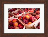 Peaches In Baskets, South Carolina Fine Art Print