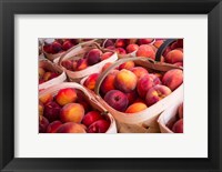 Peaches In Baskets, South Carolina Fine Art Print