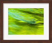 Spring Reflection On The Little Pigeon River Fine Art Print