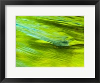 Spring Reflection On The Little Pigeon River Fine Art Print