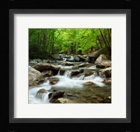 Little Pigeon River At Greenbrier Fine Art Print