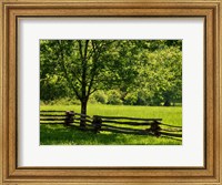 Old Wooden Fence In Cades Cove Fine Art Print