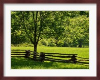 Old Wooden Fence In Cades Cove Fine Art Print