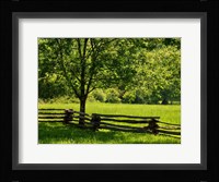 Old Wooden Fence In Cades Cove Fine Art Print