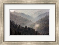 Mist Rises In A Valley Of Tree-Lined Ridges Fine Art Print