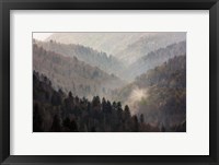 Mist Rises In A Valley Of Tree-Lined Ridges Fine Art Print