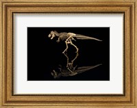 T-Rex Skeleton Replica Reflection Fine Art Print