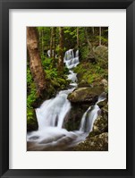 Cascade Along The Little River Fine Art Print