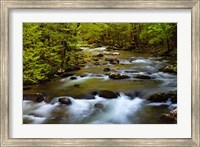 Spring Reflections On The Little River Fine Art Print