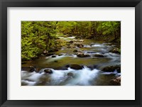 Spring Reflections On The Little River Fine Art Print