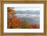 Morning Light Fog Viewed From Foothills Parkway Fine Art Print